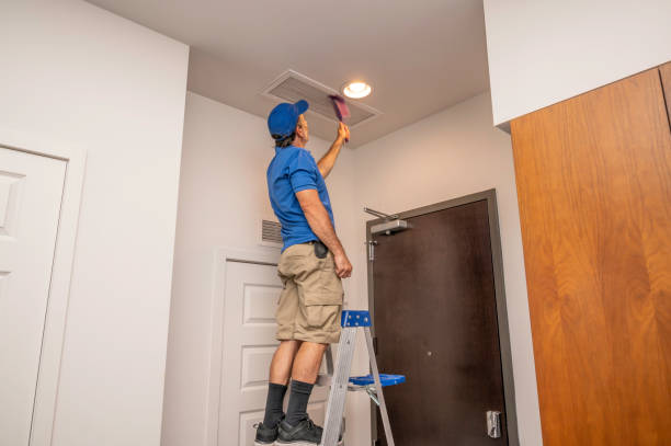 Best Air Vent Cleaning Services  in USA